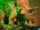 “Dinosaurs: Big, Bad, Bold and Back”