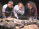 "Reptiles: The Beautiful and the Deadly"