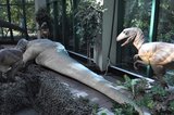 photo thumbnail
