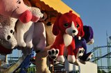 photo thumbnail