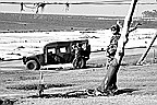 Photo detail