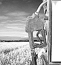 Photo detail