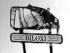 Photo detail