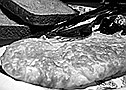 Photo detail