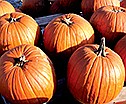 Photo detail
