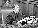 Photo detail