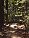 Photo detail