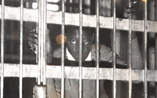 Haywood Patterson and two other members of the Scottsboro Boys, who were falsely accused of raping two white women in 1931, recently received posthumous pardons. A photo exhibit of Patterson's trial is on display at Jackson State University.
