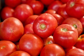 Plant tomatoes now for fall harvest.