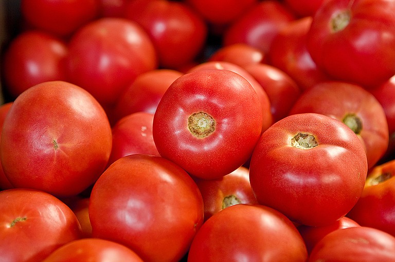 Plant tomatoes now for fall harvest.