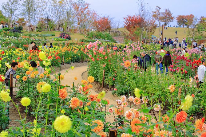 Community gardening will be one of the topics experts will discuss at the Greening Fondren Conference.
