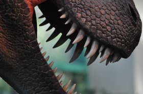 Photo detail
