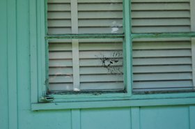 Photo detail