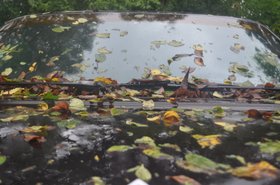 Photo detail