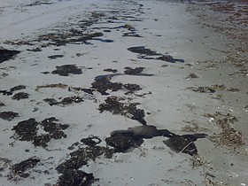 Photo detail
