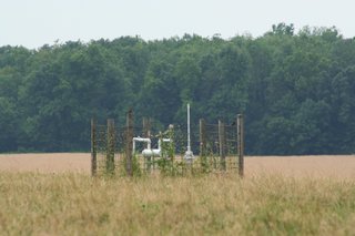 As conservationists continue to fight the state's plan to open Mississippi waters to natural-gas drilling, one their key sticking points has to do with the economy rather than the environment.