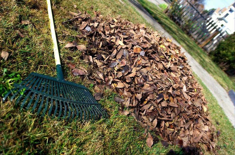 Using leftover vegetation and leaves from your yard and neighbors’ as compost will help prepare your garden for spring. 