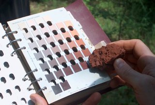 PCBs are stubborn chemicals. They persist in soil and sediment for decades, perhaps centuries, and are locked away in the fatty tissues of animals, building up in food webs.