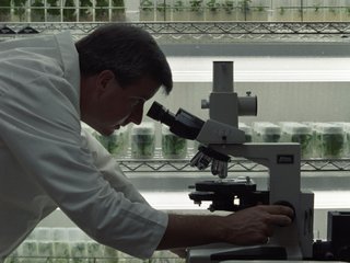The Food and Drug Administration left medicines on the market for years after discovering they were approved based on fraudulent studies by Cetero Research, which did testing for drug companies worldwide.