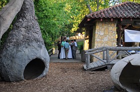 Photo detail