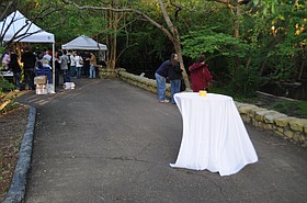 Photo detail