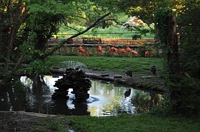 Photo detail