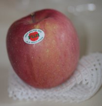 photo thumbnail