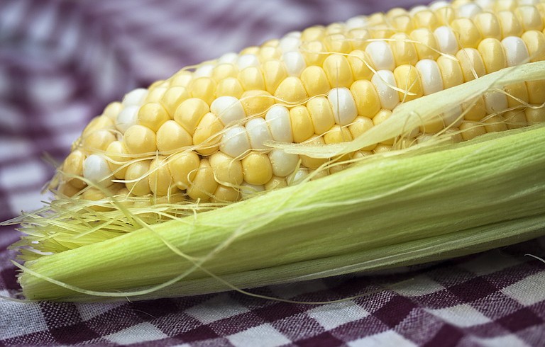 Monsanto is one Big Ag company breeding corn with genetically modified organisms.