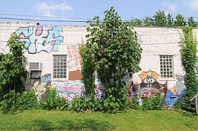 Photo detail