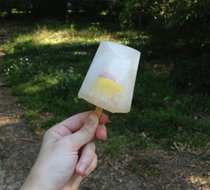 photo thumbnail