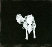 photo thumbnail