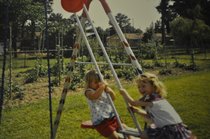 photo thumbnail