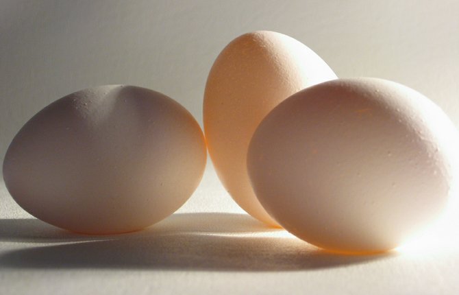 Cal-Maine Foods Inc., a Jackson-based company and the largest egg producer and distributor in the U.S., announced Monday that it lost $3.8 million in its fiscal fourth quarter.