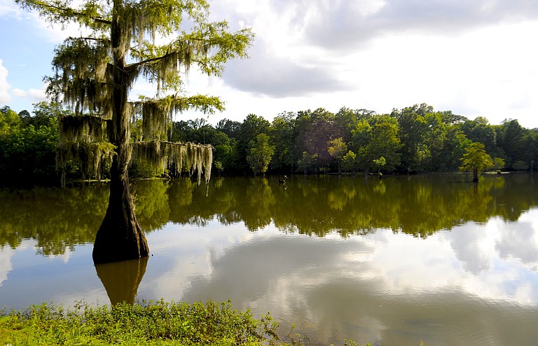 Mayes Lake is a wonderful spot to bring your family on a beautiful day.