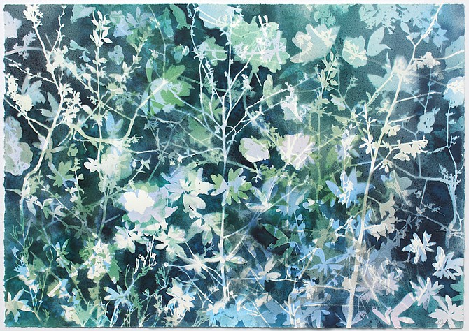 Photo detail