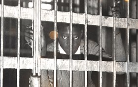 Photo detail