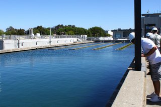 Low concentrations of 18 unregulated contaminants were found in one-third of water tested from U.S. utilities.
