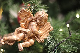 Photo detail