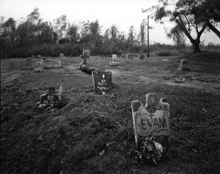 Mound Bayou, Mississippi, 2001