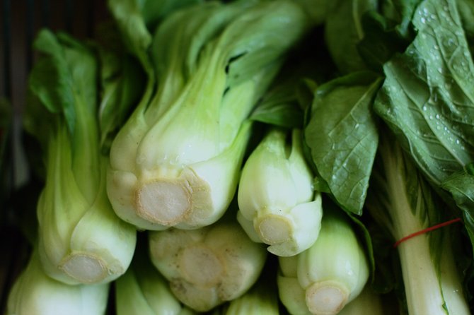 For those looking to get more green vegetables, but sick of the same old thing, bok choy is a different variant on a familiar veggie.