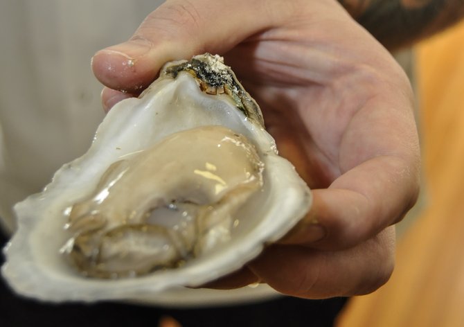 Oysters have a storied past including pirates, war and business monopolies.