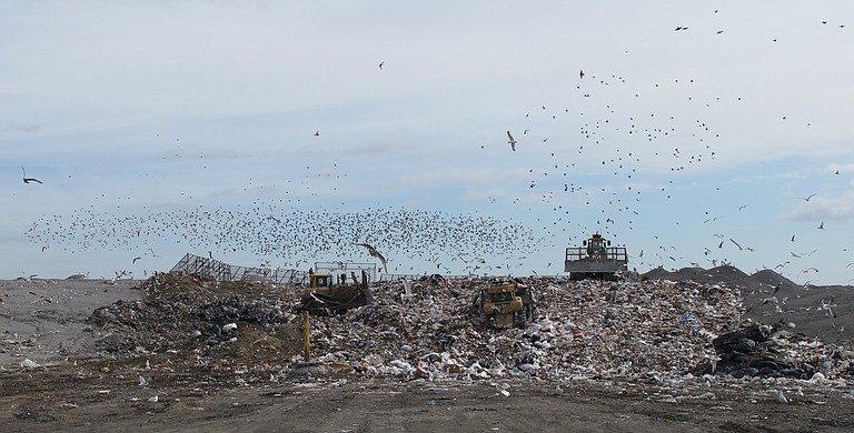 A landfill in Henrico County, Va. Some cities see waste incineration as a solution for the twin problems of garbage and energy. But sparse health information and vocal protests have stalled or killed every proposal to date.