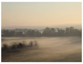 Many artists, including Moon Flower Photography, will display their work at the Stray at Home festival May 10.