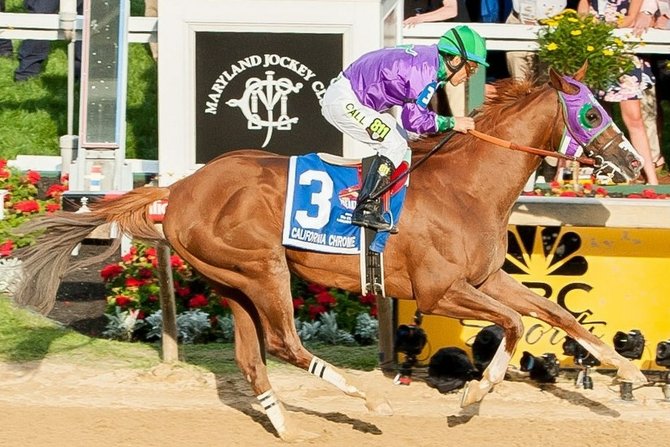 California Chrome and Victor Espinoza at the Preakness Stakes