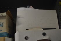 photo thumbnail