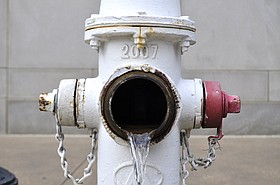 Photo detail