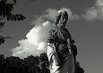 photo thumbnail