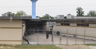 Locking up people up has had a negligible affect on dropping crime rates around the country, a new report finds.