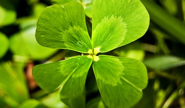 The Mal’s St. Paddy’s Parade celebrations are March 20-21, so it’s time to get your green on. Photo courtesy Flickr/jdhancock
