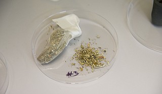 Poison control centers nationwide reported 359 cases in January of illnesses from synthetic cannabinoids, which mimic the effects of the main psychoactive ingredient in marijuana but can be far more potent. Photo courtesy UMMC Media